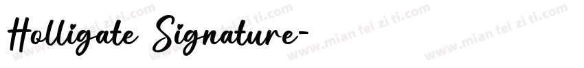 Holligate Signature字体转换